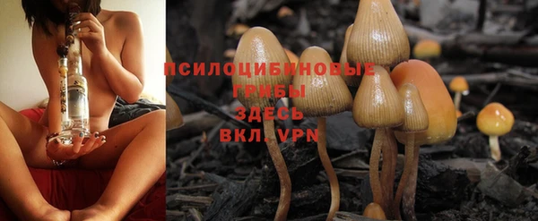 марки nbome Балабаново