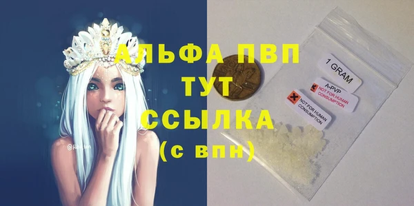 стаф Балахна