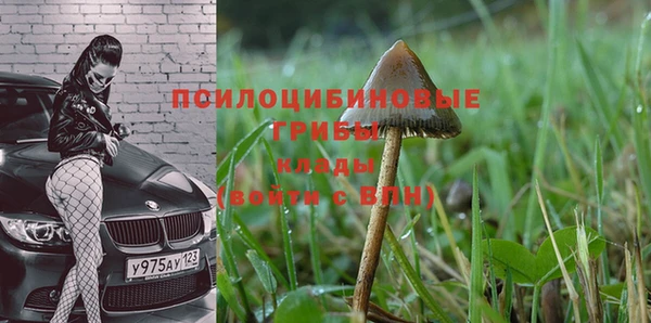 марки nbome Балабаново